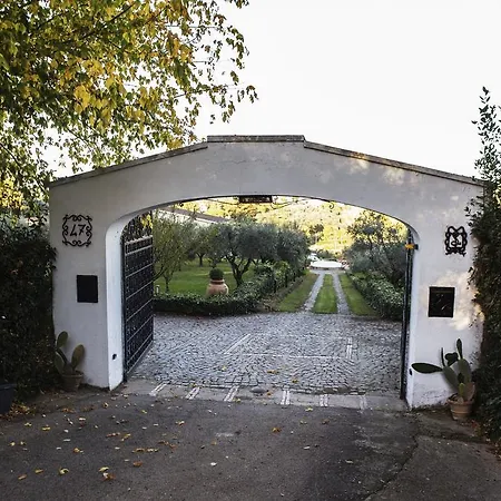 Il Pettirosso Bed and breakfast Grottaferrata