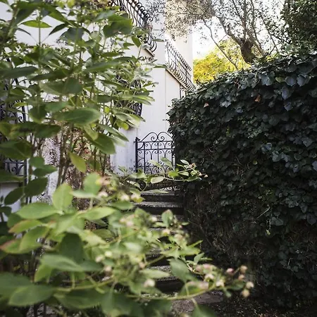Bed and breakfast Il Pettirosso