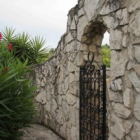 Bed and breakfast Il Pettirosso Grottaferrata