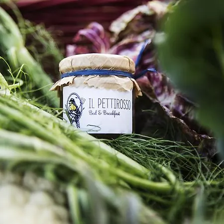Il Pettirosso غروتافراتا