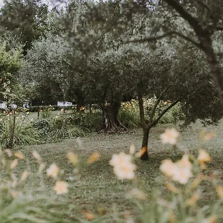 Il Pettirosso לינה וארוחת בוקר