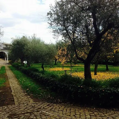 Il Pettirosso Grottaferrata