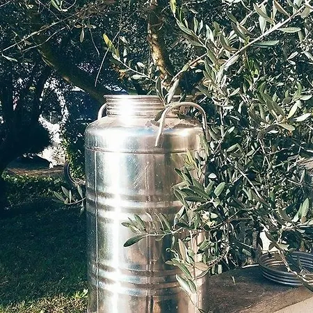 Il Pettirosso לינה וארוחת בוקר 3*