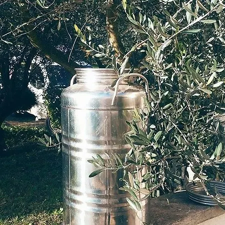 Il Pettirosso Bed and breakfast 3*