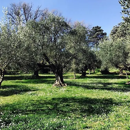 Il Pettirosso فندق مبيت وإفطار 3*