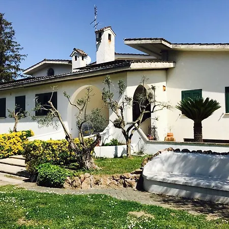 Il Pettirosso Grottaferrata