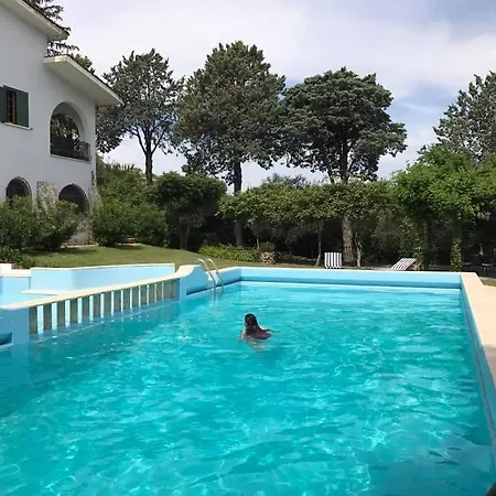Il Pettirosso Bed & Breakfast Grottaferrata