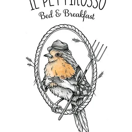 לינה וארוחת בוקר Il Pettirosso 3*