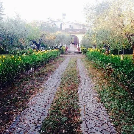 Il Pettirosso Grottaferrata