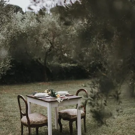 Bed & Breakfast Il Pettirosso Grottaferrata