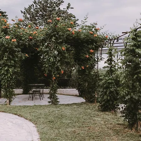Il Pettirosso Bed & Breakfast
