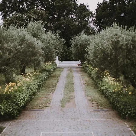 Bed & Breakfast Il Pettirosso