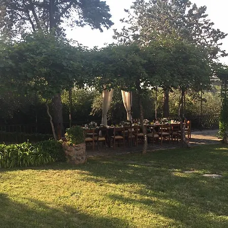 Il Pettirosso Bed & Breakfast
