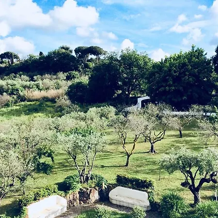 Il Pettirosso 3*