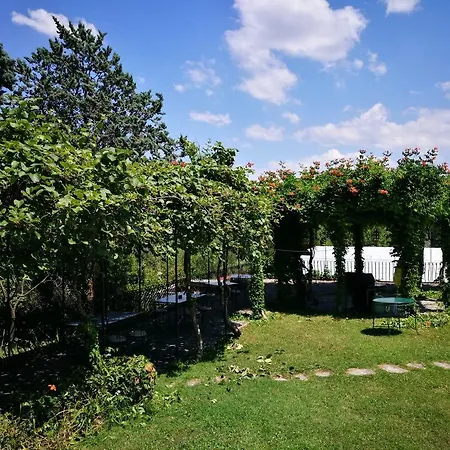 Il Pettirosso Bed & Breakfast Grottaferrata